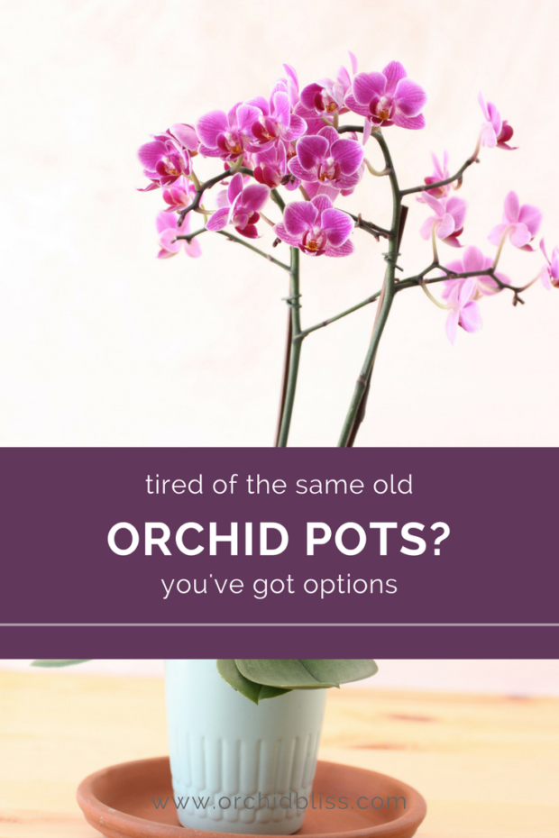 What-a-fun-article-detailing-orchid-pots.png