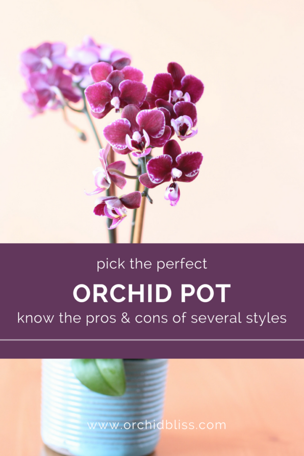 Wow-a-really-helpful-guide-on-orchid-pots.png