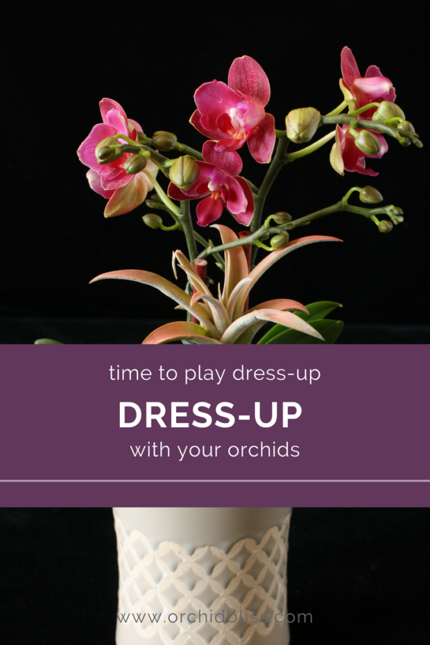 Fantastic-post-on-creating-orchid-arrangements.png