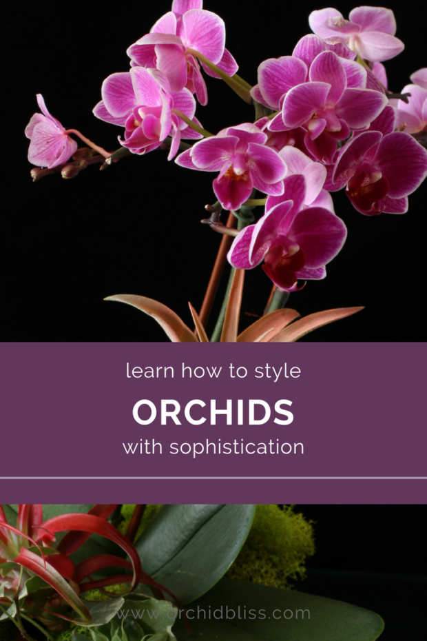 Love-this-post-on-stying-orchid-arrangments.png