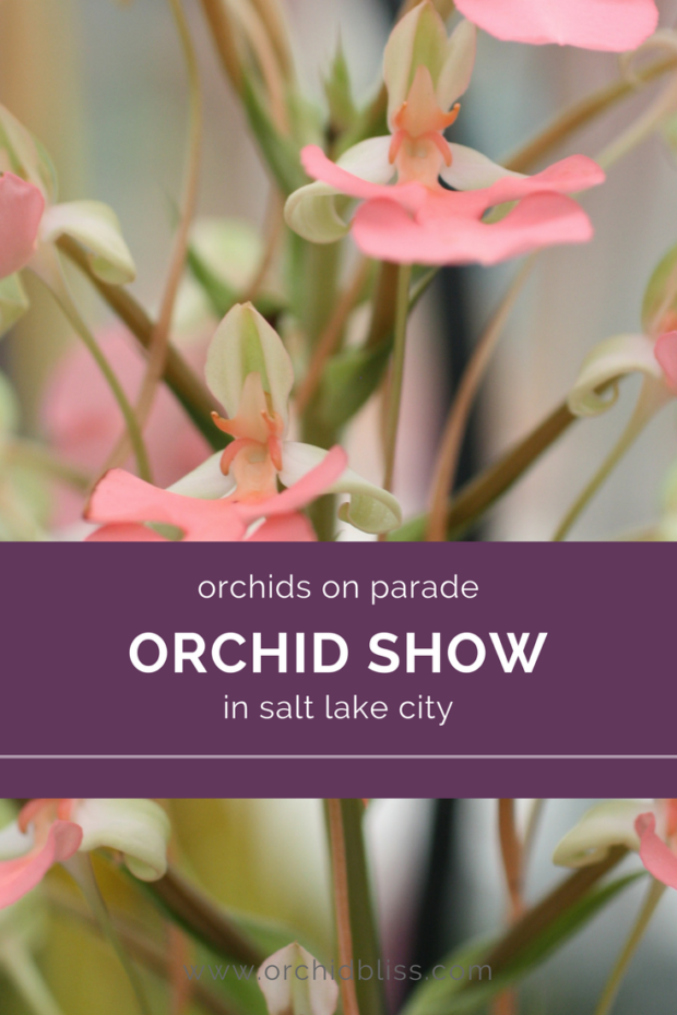 Orchids on Parade in SLC