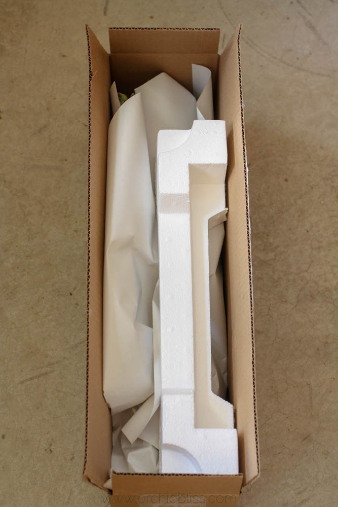 Orchid in box secured with foam block - orchid ready for transport